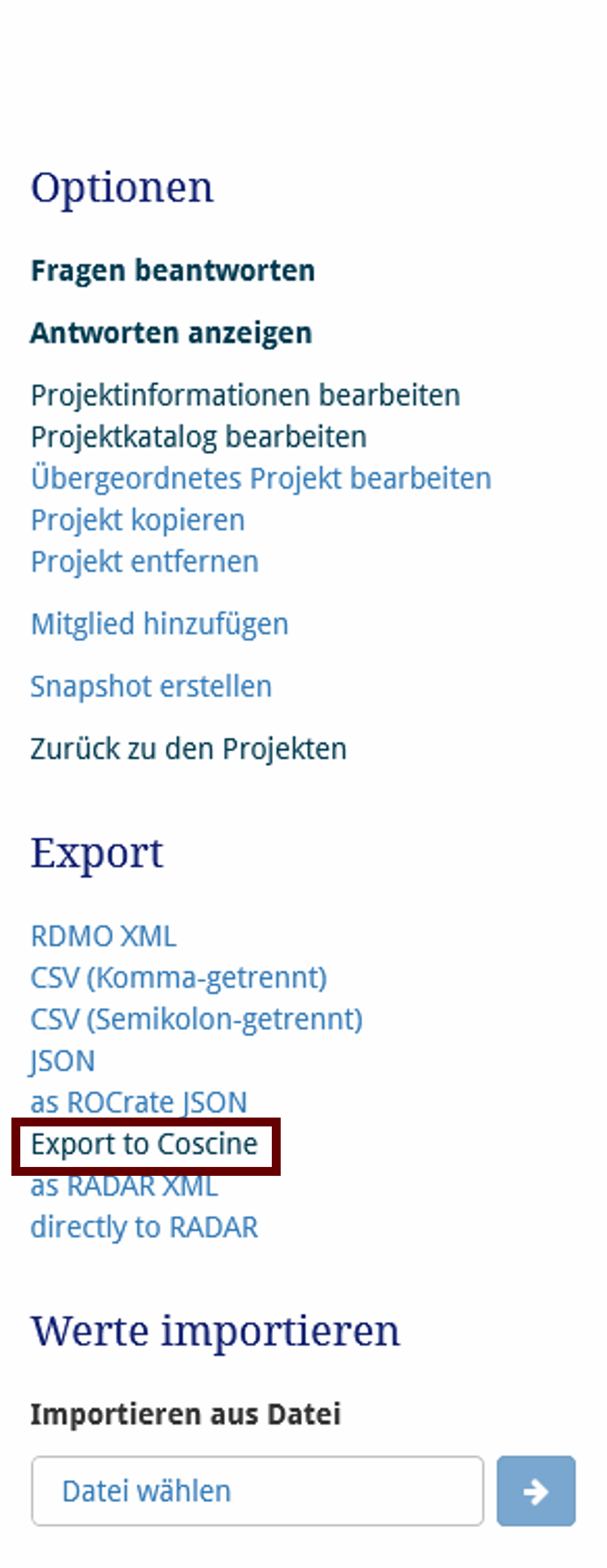 Teil der Weboberfläche von RDMO, Liste von möglichen Formaten für den Export des DMPs. Die Möglichkeit 