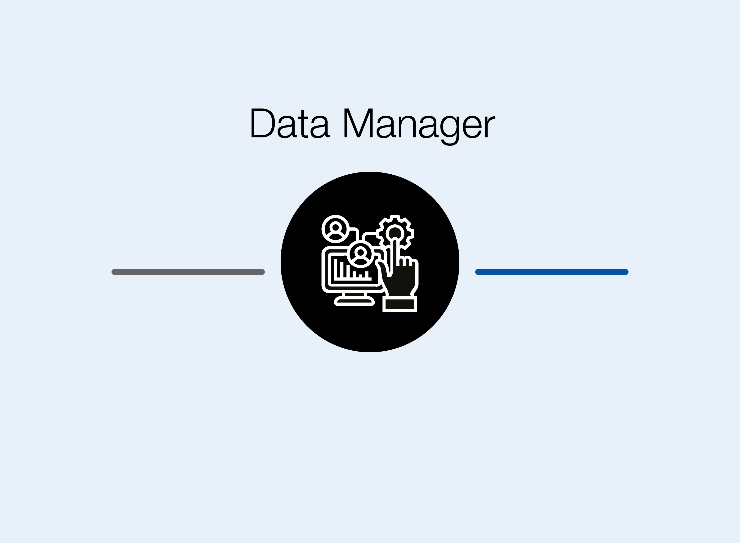 Role Data Manager