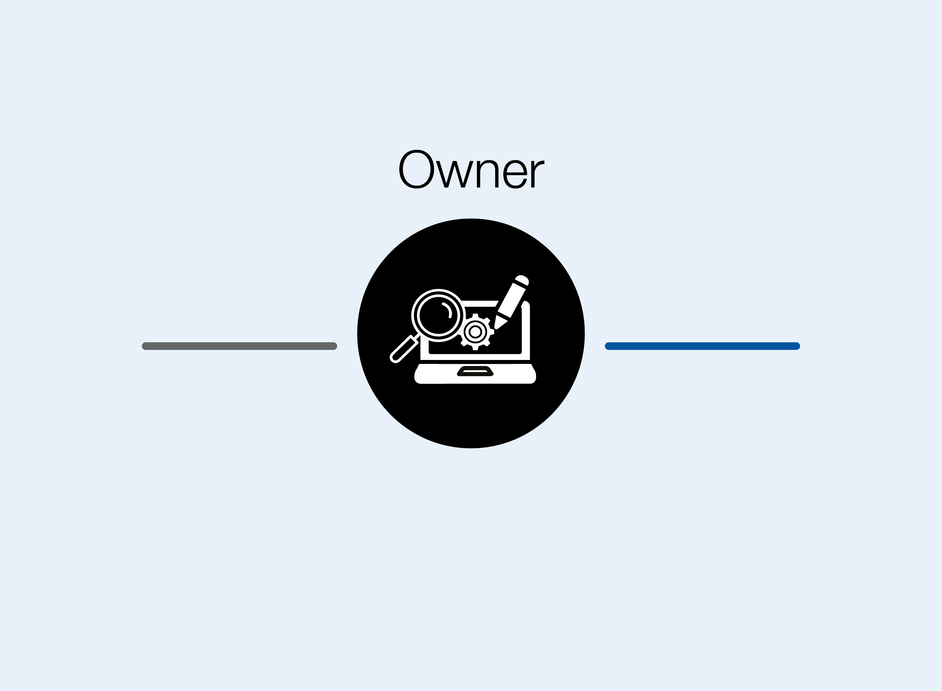 Project Role Owner